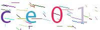 Verify Code