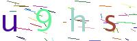 Verify Code