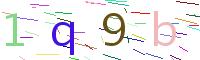 Verify Code