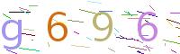 Verify Code