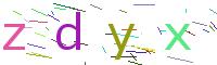 Verify Code