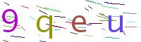 Verify Code