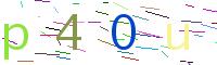 Verify Code