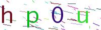 Verify Code