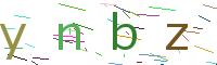 Verify Code