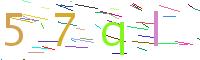 Verify Code