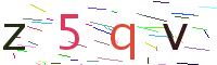 Verify Code