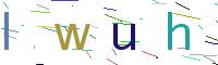 Verify Code