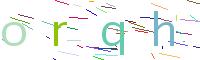Verify Code