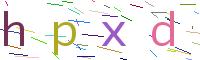 Verify Code