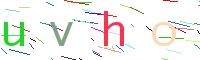 Verify Code