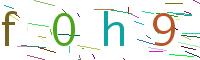 Verify Code