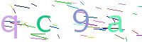 Verify Code
