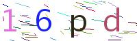 Verify Code
