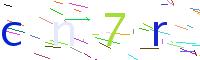 Verify Code