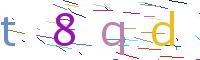 Verify Code