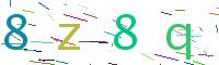 Verify Code