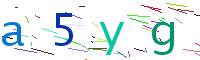 Verify Code