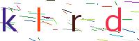 Verify Code