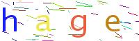 Verify Code