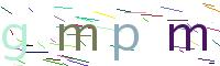 Verify Code