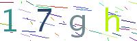 Verify Code