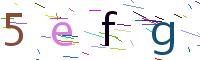 Verify Code