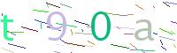 Verify Code