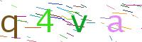 Verify Code
