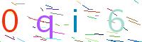 Verify Code