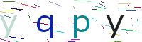 Verify Code