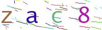 Verify Code