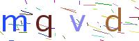 Verify Code