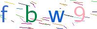 Verify Code