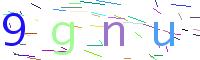 Verify Code