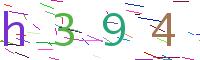 Verify Code