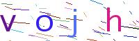 Verify Code