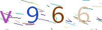 Verify Code