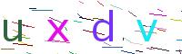 Verify Code