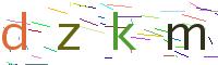 Verify Code