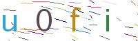 Verify Code
