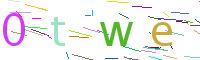 Verify Code