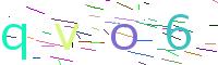 Verify Code