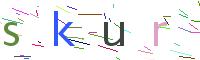 Verify Code