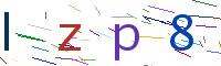 Verify Code