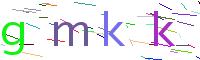 Verify Code