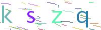 Verify Code