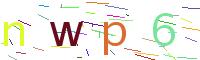 Verify Code