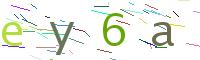 Verify Code