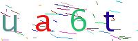 Verify Code
